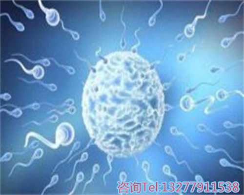 西安合法助孕,西安助孕价格表新加坡捐卵